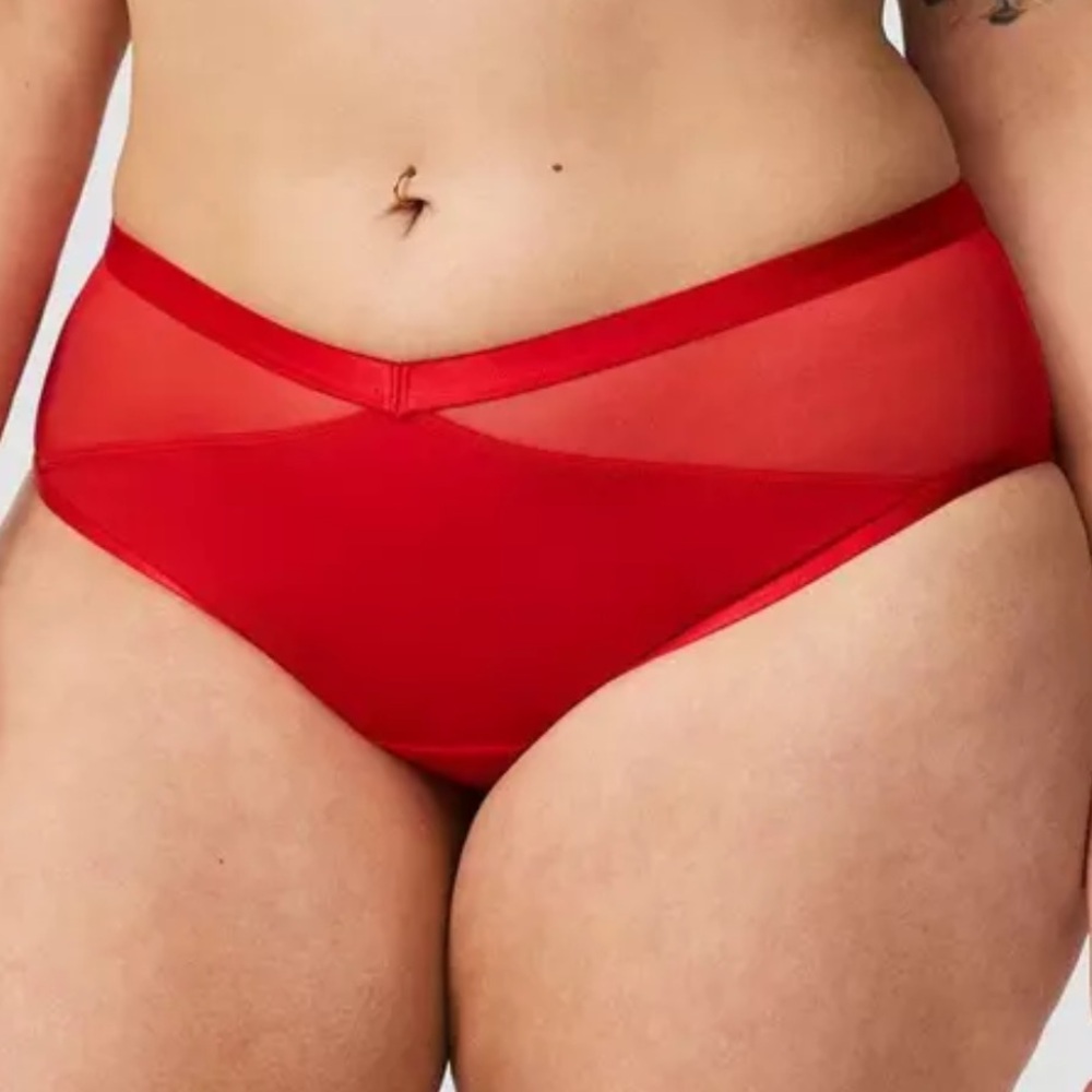 Torrid Cheeky Panty Size 2